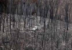  Api di Australia Pintar Berloncatan,  Panas Terasa dalam Jarak 15 Km