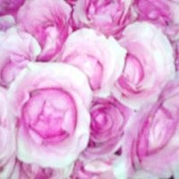 Mahasiswa Islam Yogya Tolak Valentines Day