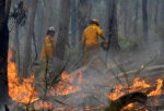 AS Kirim 60 Petugas Pemadam Kebakaran ke Australia