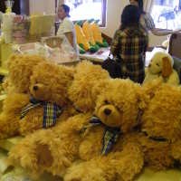 Semua Tentang Teddy Bear di Bestcare