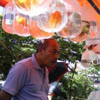 Dadang: Tidak Ada Listrik Ikan Saya Mati