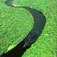 Warga Kalbar Percaya Ada Ular Lebih Besar Dari Drum Minyak