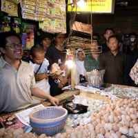 Februari 2009 Kemungkinan Inflasi 0,01%