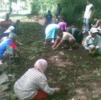 Warga Rancabentang Tanam Rumput di Area Parkir Four R
