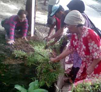 Tanam Rumput di Area Parkir Four R