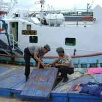 Polisi Gagalkan Pengiriman 16 Ton Ikan Illegal