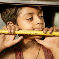 Slumdog Millionaire, Disayang Setelah Dicela