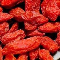 Hidup Sehat dan Panjang Umur Dengan Goji Berry