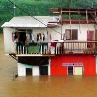 7 Tewas & Belasan Ribu Orang Dirawat