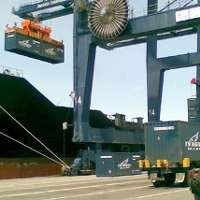 Produsen Komplain BM 0% Pakan Ternak Asal Australia