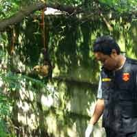 Polisi Pastikan Kepala Tergantung Lakarsanti Bunuh Diri