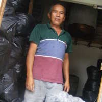 Arang Rajawali Yang Tetap Jadi Primadona