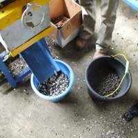 Pemerintah Undang Investor Kembangkan Biodiesel Biji Nyamplung