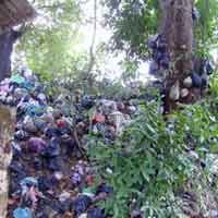 Asta Paregi Jadi Jujugan Pasangan Sulit Keturunan