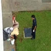 Jatuh Timpa Atap Lebih Dulu, Tubuh David Berlumur Darah