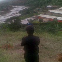 Ratusan Vila Liar di Puncak Segera Dibongkar