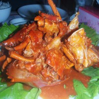 Digigit Kepiting Saos Bangkok!