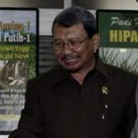 Mentan: Pasokan Pupuk Urea 2009 Kurang