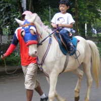 Libur Panjang, Tukang Delman Sepi Order