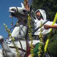 Warga Banyuwangi Gelar Tradisi Endok-endokan 