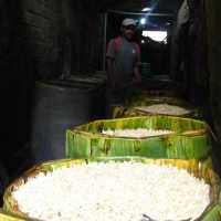 Kacang Hijau Lokal Langka, Pengrajin Terpaksa Beli Asal Thailand