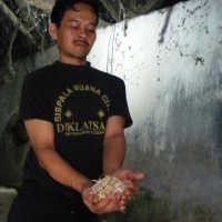 Blok Tauge, Salah Satu Tauge Terbaik di Bandung