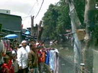 Beringin Berhenti Menangis Seminggu Lagi