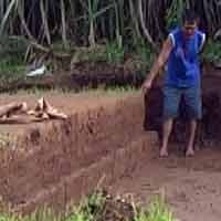 Situs Permukiman Majapahit Kembali Ditemukan