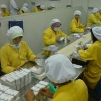 Kimia Farma & Indofarma Bakal Dilebur Jadi Holding BUMN Farmasi
