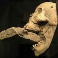 Tengkorak Vampir Wanita Ditemukan di Italia