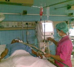 Papiii! Istri Nasrudin Histeris, Lalu Pingsan