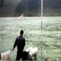 Nakhoda: Tidak Ada Peringatan dari Agen, BMKG, dan Syahbandar