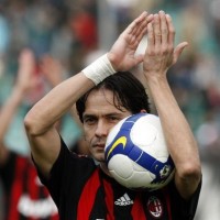 Pippo Seperti Bunga Musim Semi