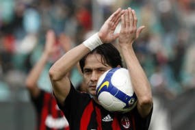 Pippo Seperti Bunga Musim Semi