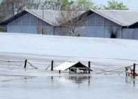 Sumur Minyak PT BSP-Pertamina Semburkan Lumpur Panas di Riau