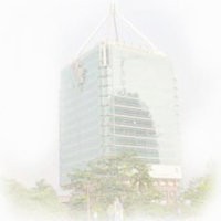 Belum Dua Tahun Kayu-kayu di Mahagoni Park Dimakan Rayap 