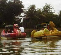 Situ Citayam Depok