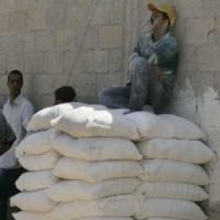 Persaingan Industri Terigu Makin Ketat, Pemain Kecil Tertekan