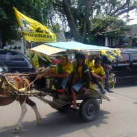 Delman Banjir Rejeki Saat Kampanye