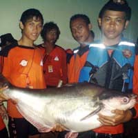 Ikan Raksasa Situ Gintung akan Dimasak dan Disantap