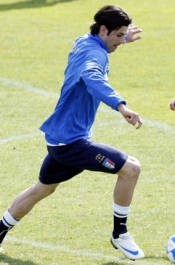 Sayap atau Penyerang Tengah, Iaquinta?