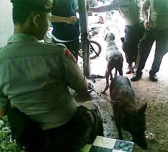 Polisi Terjunkan Anjing Pelacak