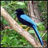 Penelitian Berusia Hampir Seabad akan Dionlinekan