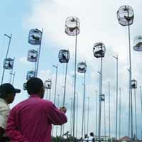 Nyaris Punah, Digelar Lomba Cup Sumenep Ayam Bekisar