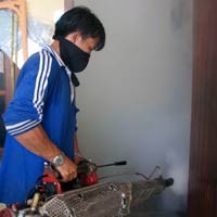 Cegah DBD & Diare, Situ Gintung Diasapi