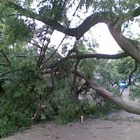 Puting Beliung Landa Tanah Abang, Atap Rumah Berterbangan