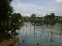 Tanggul Situ Sasak Tinggi Pamulang Cuma Terbuat dari Patok Bambu