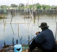 Melongok Situ Sasak Tinggi
