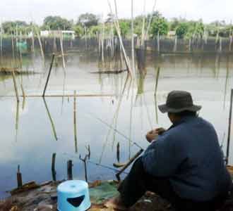 Melongok Situ Sasak Tinggi