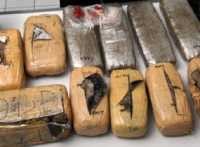 2 Bandar Ganja Dibekuk dalam Sehari